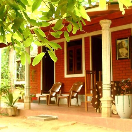 Angry Birds Homestay Habarana Extérieur photo