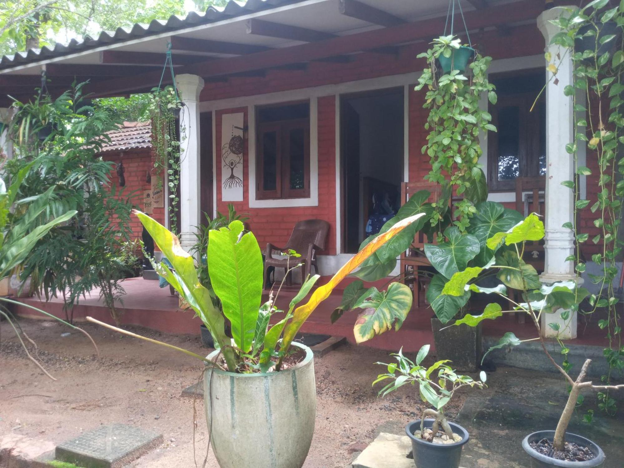 Angry Birds Homestay Habarana Chambre photo